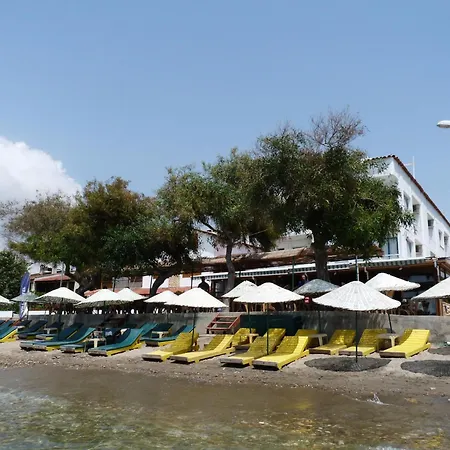 Villa Hotel *