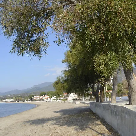 Villa Hotel Hotel *